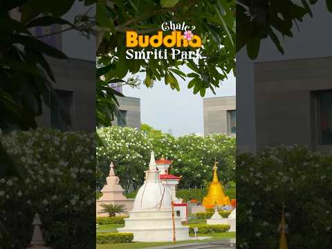 Promotional collaboration video for Komorebi Living & Decor